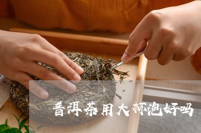 普洱茶用大杯泡好吗/2023120525057