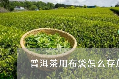 普洱茶用布袋怎么存放/2023073104847