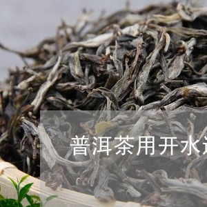 普洱茶用开水还是冷藏/2023100593814