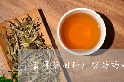 普洱茶用料9级好吗好不好/2023110771705