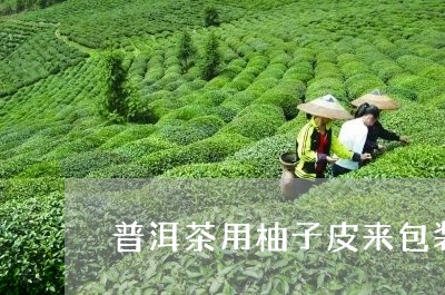 普洱茶用柚子皮来包装/2023062283158