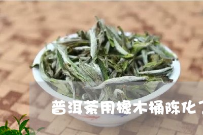 普洱茶用橡木桶陈化了吗/2023110715452