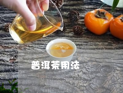 普洱茶用法/2023090677158