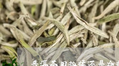 普洱茶用热揉还是冷揉/2023093012736