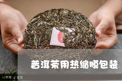 普洱茶用热缩膜包装/2023120518268