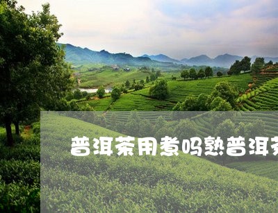 普洱茶用煮吗熟普洱茶饼要煮吗/2023053071682