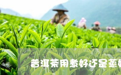 普洱茶用煮好还是蒸好/2023072110585