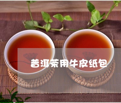 普洱茶用牛皮纸包/2023120481818