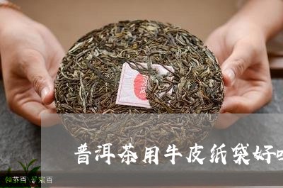 普洱茶用牛皮纸袋好吗/2023092856291