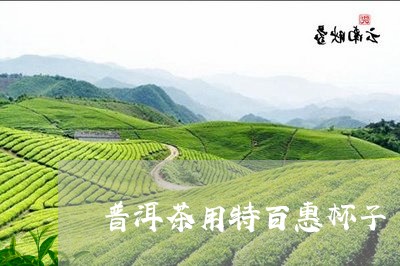 普洱茶用特百惠杯子/2023110750623