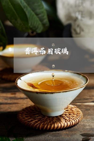 普洱茶用玻璃/2023091325936