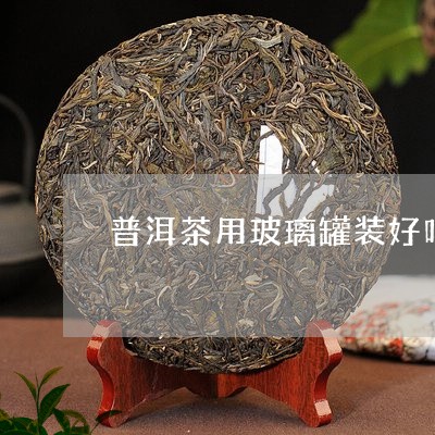 普洱茶用玻璃罐装好吗/2023072414948