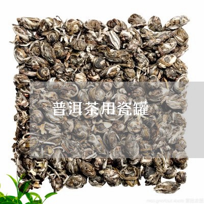 普洱茶用瓷罐/2023091390793