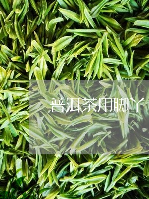 普洱茶用脚丫/2023042900642