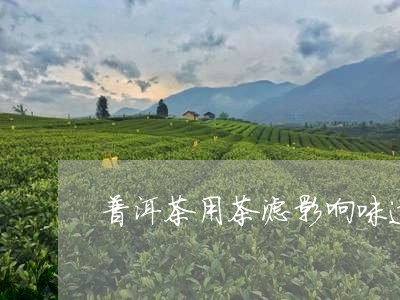 普洱茶用茶滤影响味道/2023100756859