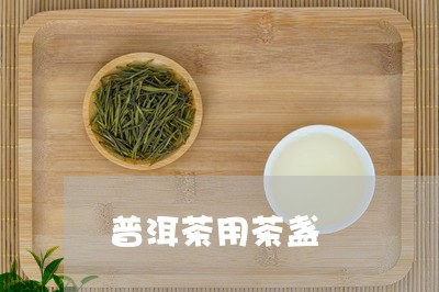 普洱茶用茶盏/2023042650680