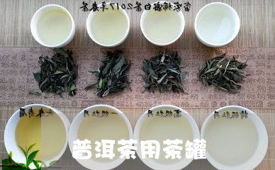 普洱茶用茶罐/2023042656337