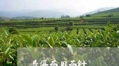 普洱茶用茶针/2023042665272