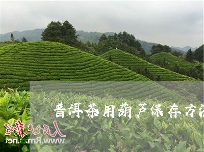 普洱茶用葫芦保存方法/2023080114925