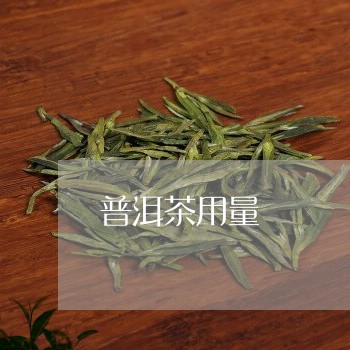 普洱茶用量/2023090606259