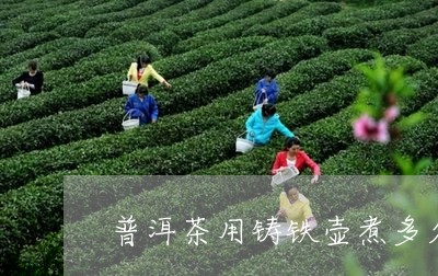 普洱茶用铸铁壶煮多久/2023072488271