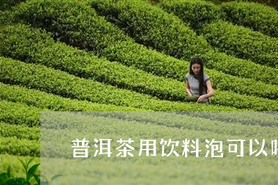 普洱茶用饮料泡可以喝吗/2023082777161