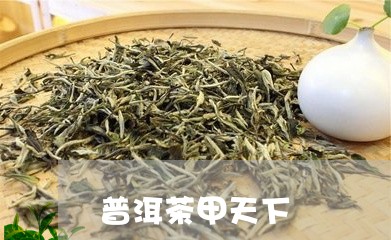 普洱茶甲天下/2023042890405