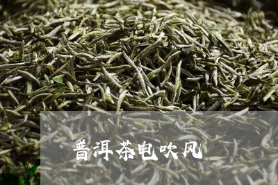 普洱茶电吹风/2023042947752