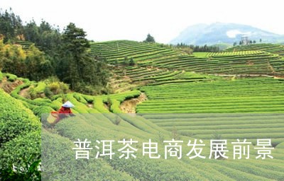 普洱茶电商发展前景/2023091516240