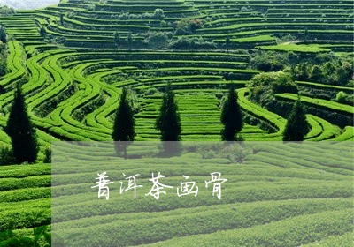 普洱茶画骨/2023081836158