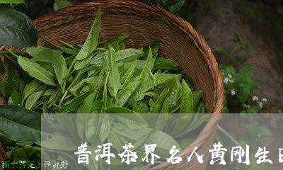 普洱茶界名人黄刚生日/2023062441514