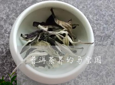 普洱茶界的马宝国/2023112630513