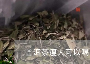 普洱茶瘦人可以喝吗女人/2023102487369