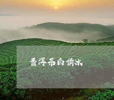 普洱茶白倩冰/2023042506751