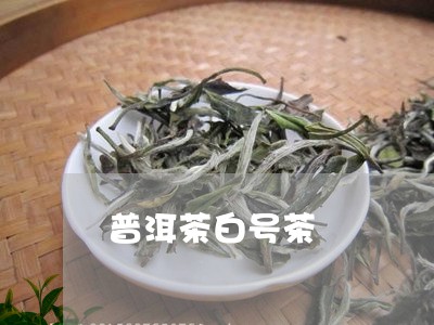 普洱茶白号茶/2023042870546