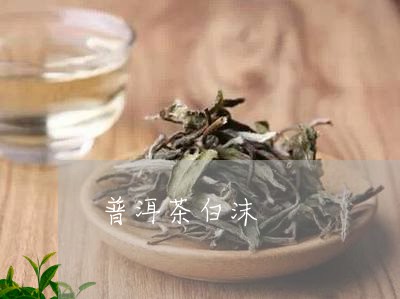 普洱茶白沫/2023090544058