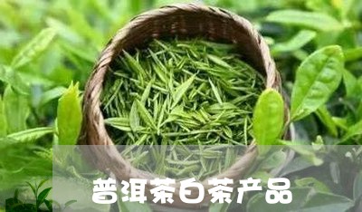 普洱茶白茶产品/2023111725047