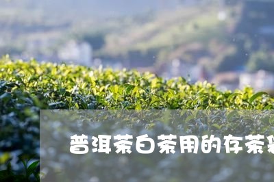 普洱茶白茶用的存茶袋/2023073172727