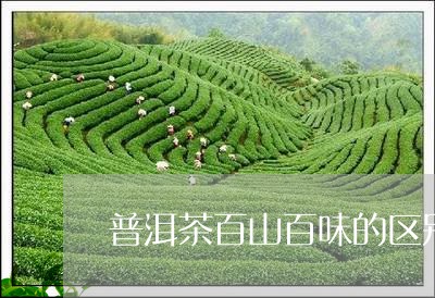 普洱茶百山百味的区别/2023092691838