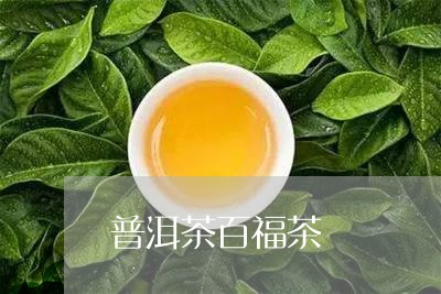 普洱茶百福茶/2023042849577