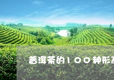 普洱茶的100种形态/2023080271493