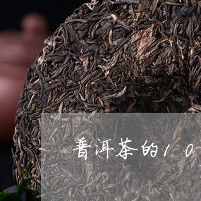 普洱茶的100种识别/2023080344058