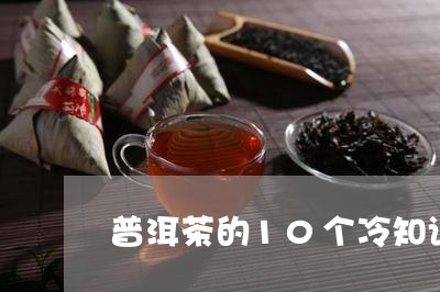 普洱茶的10个冷知识/2023120701593