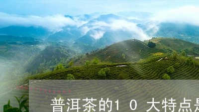 普洱茶的10大特点是哪些/2023110423925