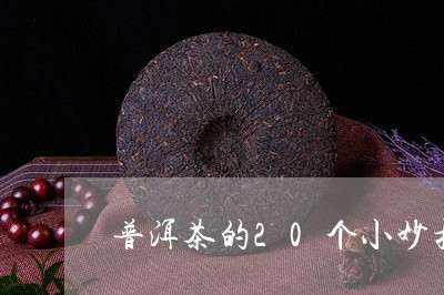 普洱茶的20个小妙招/2023073031895