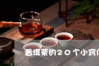 普洱茶的20个小窍门/2023062496138