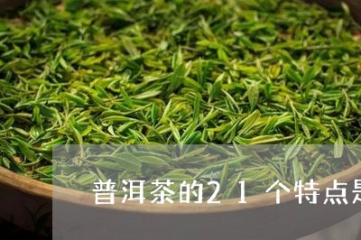 普洱茶的21个特点是那些/2023083031515