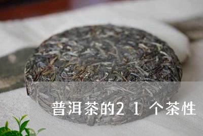 普洱茶的21个茶性/2023120515269