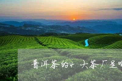 普洱茶的4大茶厂是哪几个/2023112542735