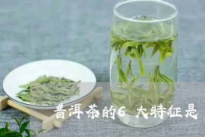 普洱茶的6大特征是/2023091514616